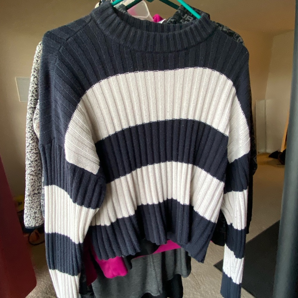 American Eagle Crop Sweater